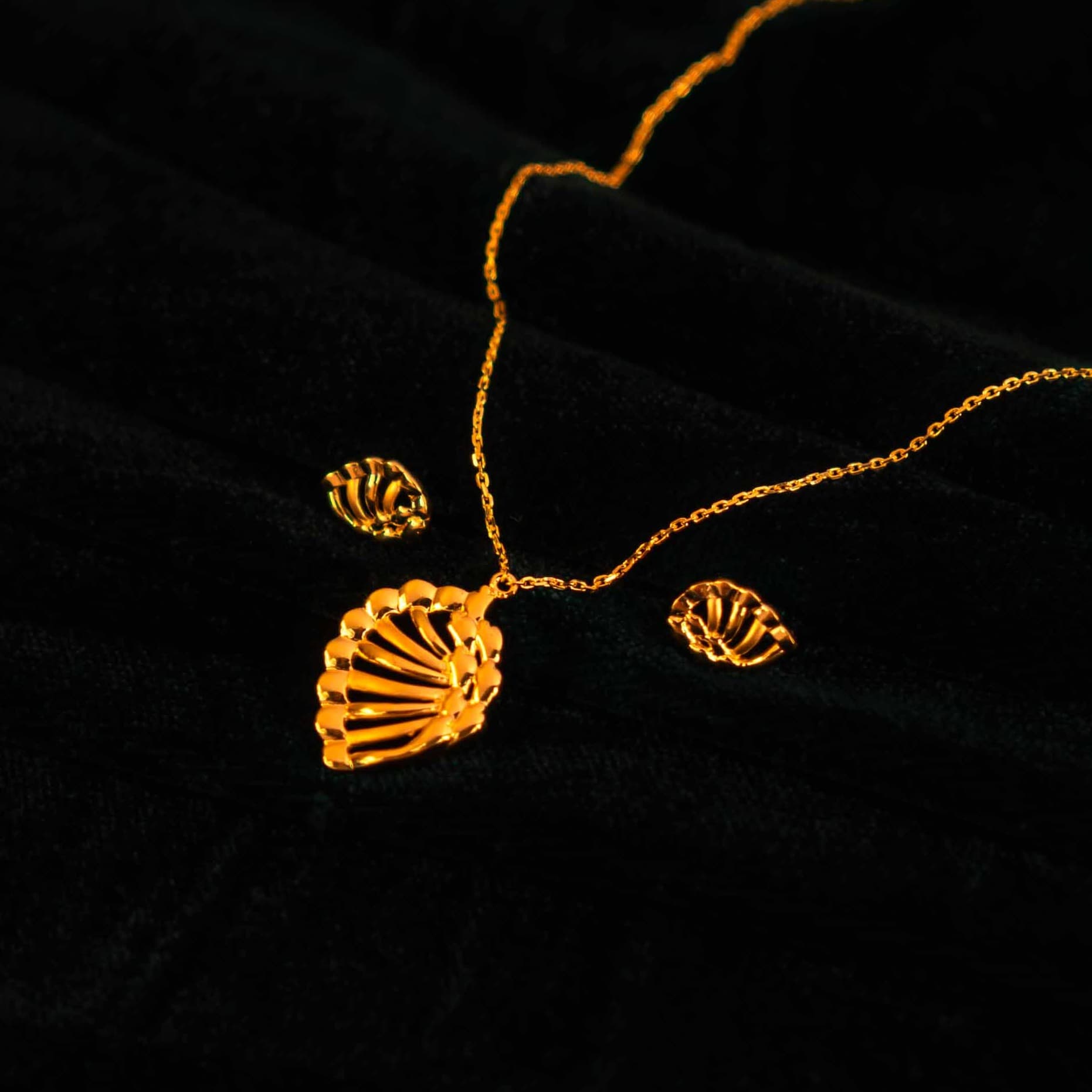 Coralia — image 1